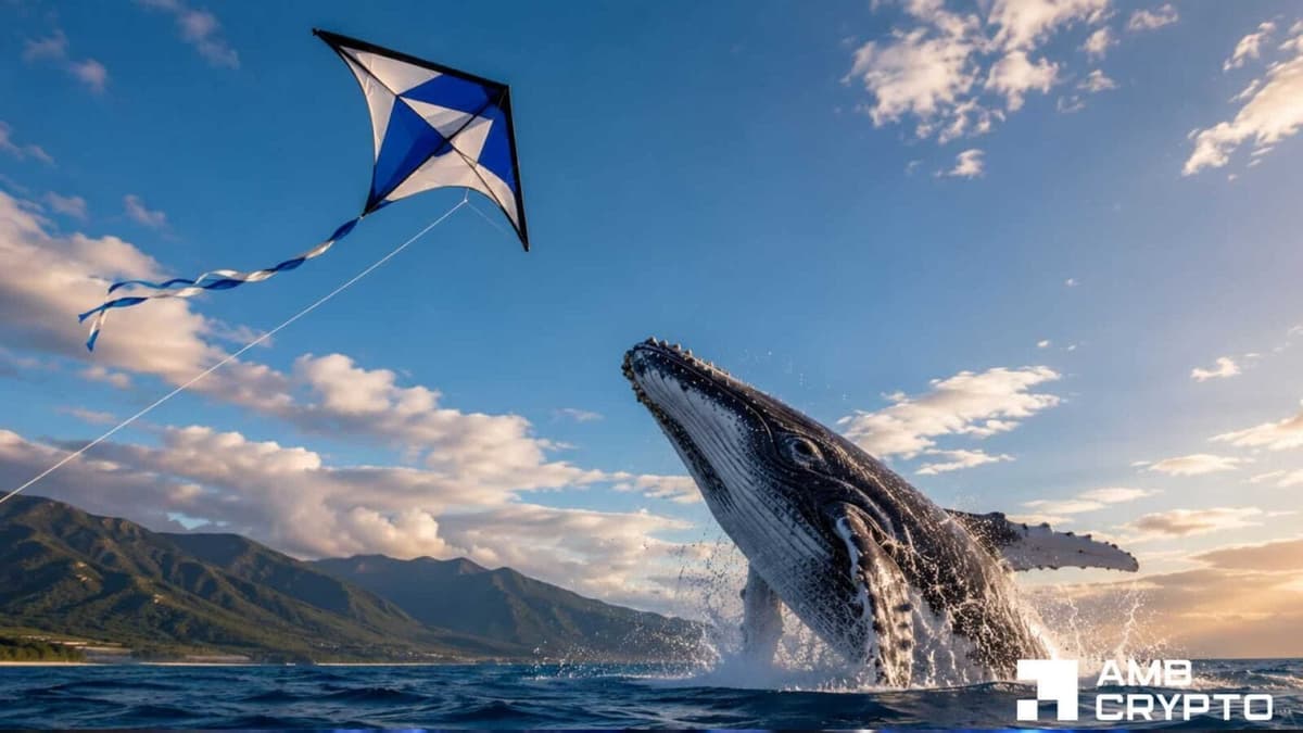 $1M KITE whale deposit hits Binance - Can bulls trigger a short squeeze? - AMBCrypto