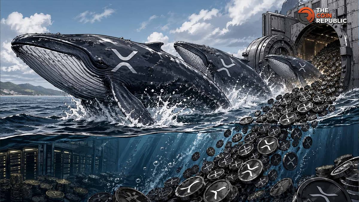 XRP News: Whales Reduce Exchange Inflows as Price Hovers at $1.14