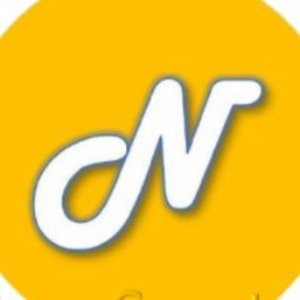 Newton Coin