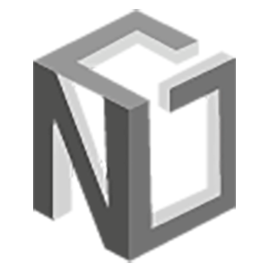 Ngin