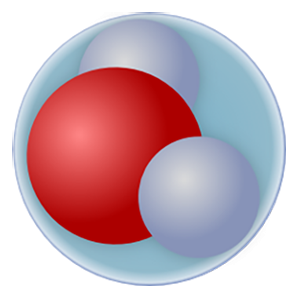 Universal Molecule