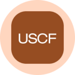 United States Oil Fund (Ondo Tokenized)